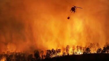 Waldbrand