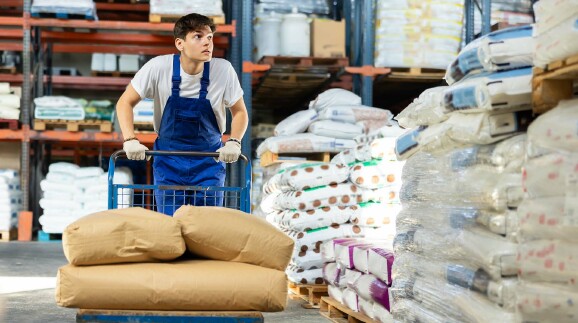 Lagerarbeiter schiebt einen Wagen mit S&auml;cken durch ein Warenlager