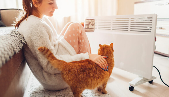 Eine Person sitzt in gemütlicher Kleidung auf einem Teppich vor einem Heizgerät und streichelt eine orangefarbene Katze, die neben ihr steht.