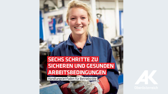 Broschüre: 6 Schritte zu sicheren und gesunden Arbeitsbedingungen © -, Arbeiterkammer Oberösterreich