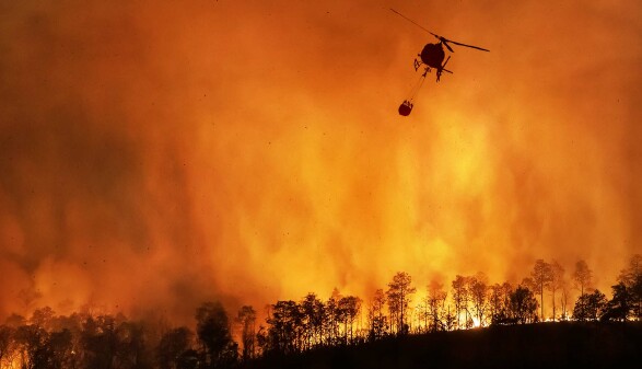 Waldbrand