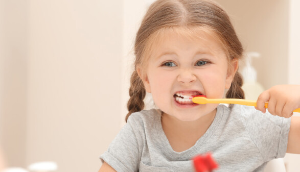 M&auml;dchen mit Z&ouml;pfen putzt sich die Z&auml;hne