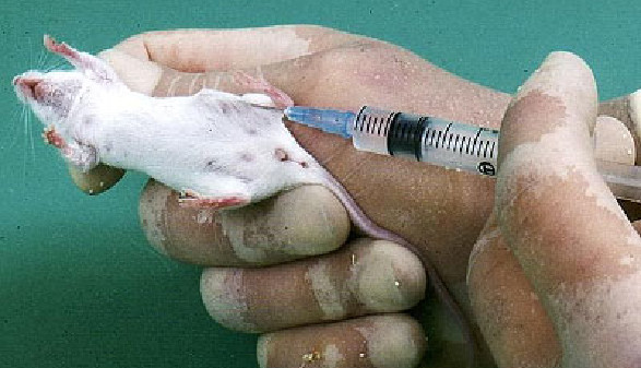 Kosmetik ohne Tierversuche © Deutscher Tierschutzbund, -