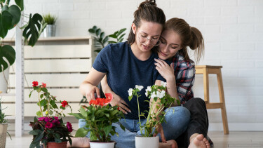 2 Frauen beim Umtopfen von Zimmerpflanzen