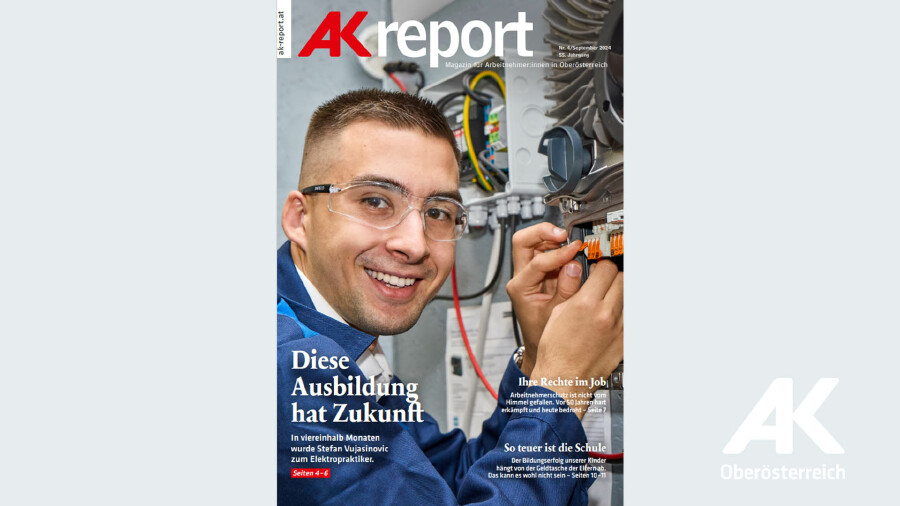 AK Report 2024 - Nr. 4