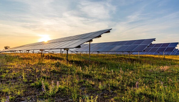 Photovoltaikanlage auf einer Wiese bei Sonnenuntergang