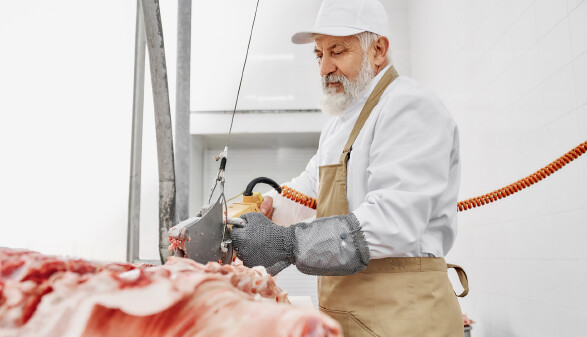 &Auml;lterer Metzger mit wei&szlig;em Bart und wei&szlig;em Kapperl zerschneidet maschinell ein Schwein.