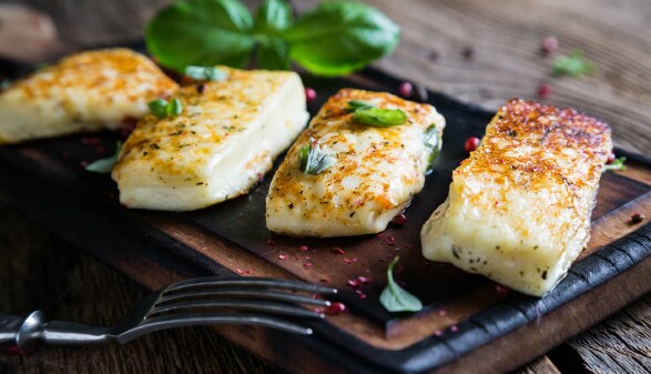 Gegrillter Halloumi