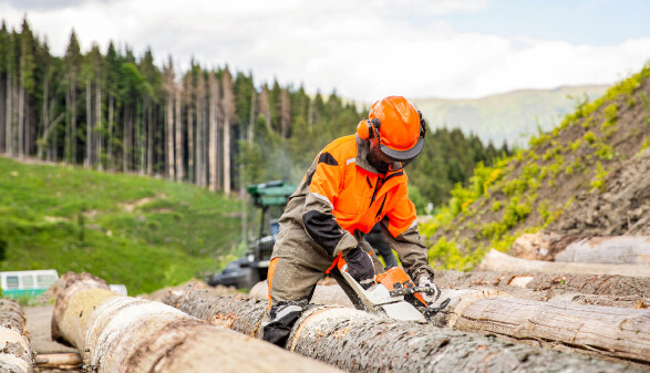 Ein Arbeiter in oranger Schutzausr&uuml;stung durchschneidet mit der Motors&auml;ge Holzst&auml;mme.