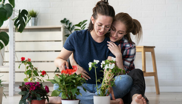 2 Frauen beim Umtopfen von Zimmerpflanzen