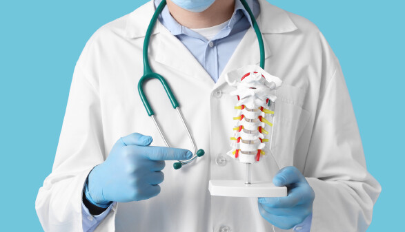 Doktor mit Modell einer Wirbelsäule