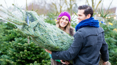 Ehepaar beim Christbaumkauf &copy; Kzenon, stock.adobe.com