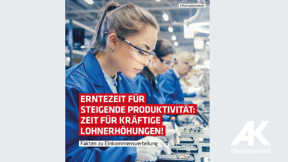 Broschüre: Fakten zur Einkommensverteilung 2019 © AK Oberösterreich